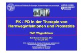 PK / PD in der Therapie von Harnweginfektionen und Prostatitis · bakterieller Prostatitis. Schiebler, Peiper 1984 gefensterte Kapillaren Nicht-gefensterte Kapillaren. Quinolone Dosage