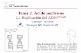 Tema 2. Ácido nucleicos - dpbiologia.weebly.comdpbiologia.weebly.com/uploads/2/1/5/5/...replicación_del_adn__2018-20.pdf · isótopo N15, todo su ADN esta formado por dicho isótopo