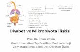 Diyabet ve Mikrobiyota İlişkisimikrobiyota2016.ftskongre.org/webkontrol/uploads/files/İLHAN YETKİN.pdf · Lipopolisakkarit ve IR İlişkisi •Adipositlerde LPS-uyarımlıIR gelişiminin