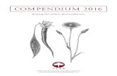 COMPENDIUM 2016 - vern.de ·  3 LiebePflanzenfreundinnen undPflanzenfreunde, das vergangene Jahr war wie immer erfüllt von AktivitätenrundumsSaatgutunddieSortenvielfalt.