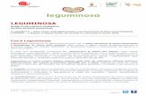 LEGUMINOSA - Slow Food · Azienda Biologica Immacolata Migliaccio (ABIM) 13. Cannavina Filippelli 14. Azienda Agricola San Cassiano 15. Azienda agricola Valle Chiarelle 16. Azienda