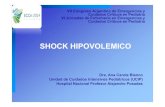 Dra. Blanco- SAP - Shock 2 15.30 VIA BLANCA [Modo de ... y Cuidados... · Shock hipovolémico Puede producirse por volumen sanguineo inadecuado o capacidad inadecuada de transportar