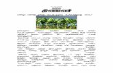 வழப பய ழத தககம வவடடபபழழவ கடடபபடததவத …agritech.tnau.ac.in/daily_events/2016/tamil/Dec/12_dec_16_tam.pdf · ஒரஙக