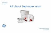 GE Healthcare Life Sciences All about Sephadex resin · GE 의 Sephadex resin 은 Gel Filtration 타과 Ion Exchange 타이 있으며, 연구와 생산 스케일에서 모두 사용