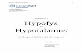 Sjukdomar i Hypofys Hypotalamus¥rdprogram... · primärbehandling kan tänkas vid GH-producerande adenom. Prolaktinom opereras endast vid intolerans mot dopaminagonist eller vid