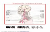 健康從頭開始－認識腦部及腦部疾病lib.rssh.kh.edu.tw/essay/94essay/5.pdf · 速讀等即為右腦處理資訊的表現方式)。一般人右腦的五感都受到左腦理性的控