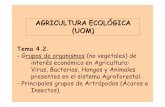 AGRICULTURA ECOLÓGICA (UOM) · Virus, Bacterias, Hongos y Animales presentes en el sistema Agroforestal. - Principales grupos de Artrópodos (Ácaros e Insectos). AGRICULTURA ECOLÓGICA