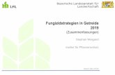 Fungizidstrategien in Getreide · Institut für Pflanzenschutz Fungizidstrategien in Wintergerste - Einmalbehandlung bei mittlerem Befallsdruck durch Pilzkrankheiten BBCH 39 – 55