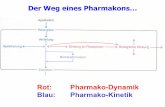 Der Weg eines Pharmakons…danner/tutorium/pharma/2005Pharmakokinetik0412.pdf · Pharmakodynamik. und Pharmakokinetik. Bzgl. NAT2 (Isoniazid) Altersabhängigkeit. SPIEGEL ONLINE -