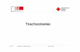 Tracheotomie [Schreibgeschützt] [Kompatibilitätsmodus] · Mitarbeiter im Intensivtransport Jörg Johannes Tracheotomie Definition Anatomie