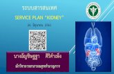 ระบบสารสนเทศ Service plan “kidney” · แฟ้มสะสม แฟ้มบริการ แฟ้มบริการกึ่งส ารวจแฟ้มนโยบาย
