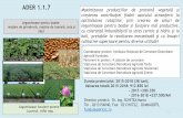 ADER 1.1.7 Maximizarea producţiilor de proteină vegetală ... fileprimăvară, soia şi năut) şi leguminoase furajere (lucernă şi trifoi roşu) în vederea înscrierii la ISTIS