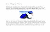 Die Magic Flute - My Breath My Musicmybreathmymusic.com/wp-content/uploads/2016/05/Die-Magic-Flute-manual... · Sobald die Magic Flute hochfährt sieht man eine Sanduhr. Das eingebaute