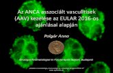 Az ANCA pozitív vasculitisek kezelése az EULAR 2016-os ... polgaranna.pdf · Az ANCA asszociált vasculitisek (AAV) kezelése az EULAR 2016 -os ajánlásai alapján Polgár Anna