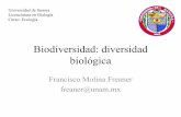 Biodiversidad: diversidad biológicasb75ced028d5801b8.jimcontent.com/.../name/Biodiversidad-2013.pdf · Biodiversidad • La diversidad biológica o biodiversidad comúnmente se define