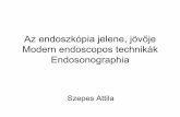 Az endoszkópia jelene, jövője Modern endoscopos technikák ...users.atw.hu/aokszote/download.php?fname=./02] PREKLINIKAI MODUL...Klinikai tünetek • Hematemesis, melena és hematochezia