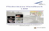 Fledermaus-Handbuch LBMhochmoseluebergang.rlp.de/pdf/Landespflege/Handbuch_Fledermaeuse_LBM... · Fledermaus-Handbuch LBM Einleitung 9 1. EINLEITUNG Die Gruppe der Fledermäuse stellt