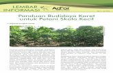 No. 5 - Juli 2013 Panduan Budidaya Karet untuk Petani ...old.worldagroforestry.org/sea/Publications/files/leaflet/LE0182-13.pdf · dari karet klon PB260, IRR118, RRIC100 dan batang