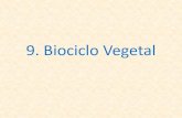 9. Biociclo Vegetal - ufjf.br · Alporquia: Mergulhia: TABELA 24.1 Comprimento do período juvenil em algumas espécies lenhosas Espécie Rosa (Rosa [híbrido chá]) Uva (Vitis spp.)