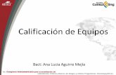 Calificación de Equipos - ema.org.mx · Calificación de equipos Calificación del Equipo (CE) proceso total de aseguramiento de que un instrumento es apropiado para el uso propuesto