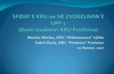 , KRU “Hidromorava Gjilanbalkansjointconference.org/wp-content/uploads/2017/12/Mumin-Morina... · Analiza- diagnostifikimi gjendjes ekzistuese në bazë të ciles pastaj mund të