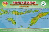 PPRROOFFIILL KKEESSEEHHAATTAANN · PENDAHULUAN Pembangunan Kesehatan di Provinsi Nusa Tenggara Timur (NTT) diarahkan untuk meningkatkan kesadaran, kemauan dan kemampuan hidup sehat