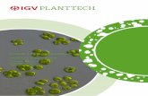 Extraktion & Kultivierung · 4 igv PLANTTECH Extraktion & Kultivierung Kernziel ist die Ent-wicklung und Produktion von obi evn i aktWkr i en aktferofxttsbw z . Wirkstoffen aus Mikro-,