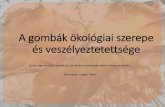 A gombák ökológiai szerepe és veszélyeztetettségezeus.nyf.hu/~szept/GombakKiseloadas.pdf · Az erdei gombák tömeges pusztulása •Az európai erdőkben az elmúlt 100 évben