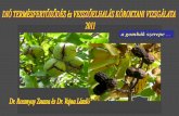 a gombák szerepe - fruitresearch.naik.hu · a bibe a gombák egyik behatolási helye • apikális behatolás termésbe (Fusicoccum aesculi) • sűrű micélium szövedék. behatolás