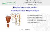 Basisdiagnostik in der Pädiatrischen Nephrologie · Basisdiagnostik in der . Pädiatrischen Nephrologie . Lutz T. Weber . 45. Internationaler Oster-Seminar-Kongress Brixen, 2012