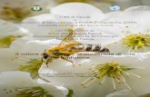 L’arte dell’apicoltura: il valore dei termini, la ... · L’arte dell’apicoltura: il valore dei termini, la modernità di una tradizione Programma h 17 Saluto di Barbara Casalini,