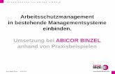 Arbeitsschutzmanagement in bestehende Managementsysteme ... · Heinz Martin Münch 02.09.2013 abicor.com • Arbeits- und Gesundheitsschutz sowie Umweltschutz in Qualitätsmanagementsystem