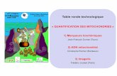 « QUANTIFICATION DES MITOCHONDRIESmeetochondrie.ibgc.cnrs.fr/colloques/colloque8/presentations_colloque/... · Table ronde technologique « QUANTIFICATION DES MITOCHONDRIES » 1)
