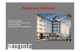 Pankreas divisum - Radiologie · Pankreas divisum, Alexander Calderoni Klinik für Allgemeine Innere und Gastroenterologie Augusta-Kranken-Anstalt gGmbH
