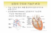 심장의구조와기능(1 of 2)contents.kocw.net/KOCW/document/2014/Chungang/KIMMikyung/11… · 색전유발, 장기경색초래가능 1. 아급성(subacute) 감염성심내막염: