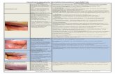 Inkontinenz-assoziierte Dermatitis Intervention Tool (IADIT-D)€¦ · Journal of Wound Ostomy & Continence Nursing, 41 (2), 161-167 24 Gesundheits- und Krankenpflegegesetz - GuKG,