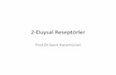 2-Duysal Reseptörler - İstanbul Üniversitesi · 2-Duysal Reseptörler Prof.Dr.Sacit Karamürsel. Somatik duysal sinir sonlanmasının tipleri. Pacini cisimci ğinde olu şan reseptör