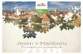 Jesen v Mariboru 2018 - storage.googleapis.com · Jesen v Mariboru Prireditveni napovednik. Vino, kulinarika in Stara trta Vino, kulinarika, kultura in zabava so pomemben del štajerskega