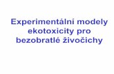 Experimentální modely ekotoxicity pro bezobratlé živočichy · Testy na vířnících (Rotifera) - Brachionus calyciflorus Testy na bentických korýších (Crustacea) Gammarus,