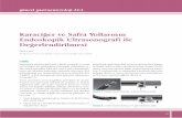 Karaciğer ve Safra Yollarının Endoskopik Ultrasonografi ...guncel.tgv.org.tr/journal/75/pdf/100586.pdf · Bu konu başlığı altında karaciğer, safra kesesi ve safra yolları-nın