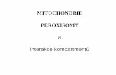 MITOCHONDRIE PEROXISOMY a interakce kompartment ůkfrserver.natur.cuni.cz/studium/prednasky/bunka/2007/Mitochondrie a... · Also induced by reactive oxygen species (ROS) (eg H2O2)