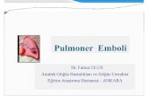 Pulmoner Emboli - gkda.org.trgkda.org.tr/congress/17/sunumlar/7.pdf · Kanser hastalığı, bazı böbrek hastalıkları, gebelik, bazı kan hastalıkları, barsak hastalıkları,