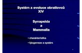 Systém a evoluce obratlovců XIV Synapsida a Mammalia · Nejstarší savci - přelom triasu a jury, před 200 mil. lety: ... Živorodí Vačnatí Placentálové Placentálové Vačnatí