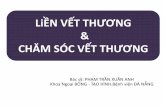 VẾT THƯƠNG VÀ CHĂM SÓC VẾT THƯƠNGdananghospital.org.vn/Uploads/Images/files/Lien_vet... · 2018-03-09 · GIAI ĐOẠN SỮA CHỮA (6 tháng). ... Dung dịch sát khuẩn