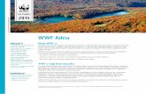WWF Adriad2ouvy59p0dg6k.cloudfront.net/downloads/wwf_podrucje_web.pdfresursima, provodimo edukaciju te podupiremo proces izrade zakona o šumama Federacije BiH. MORE Surađujemo s