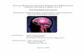 ΠΤΥΧΙΑΚΗ ΕΡΓΑΣΙΑnefeli.lib.teicrete.gr/browse/seyp/nos/2006/... · 2009-10-20 · 1.2 Γενική ανατομία της εγκεφαλικής κυκλοφορίας