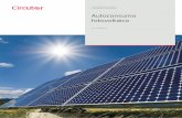 Autoconsumo fotovoltaicodocs.circutor.com/docs/CT_Autoconsumo_ES.pdf · 2019-09-18 · 2 Autoconsumo fotovoltaico Circutor INTRODUCCIÓN — Autoconsumo fotovoltaico La bajada en
