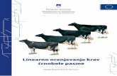 Marija Klopčič & Arie Hamoenrodica.bf.uni-lj.si/web/gov/pub/2010_Klopcic_et_al_Linearno_ocenjevanje_CB.pdf · Linearno ocenjevanje vključuje meritve in ocene 18 individualnih lastnosti