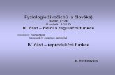 III. ročník 1 Zk III. část – řídící a regulační funkce IV. část ... · 2013-01-14 · Fyziologie živočichů (a člověka) Bi2BP_FYZP III. ročník 1/0/2 Zk III. část