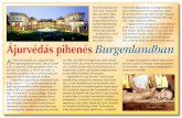 Ájurvédás pihenés Burgenlandban · specialisták, akik a szálloda masszázs és kezelőrészlegének nívós csapatát egészítik ki, tudásukat világszerte több luxus hotelben